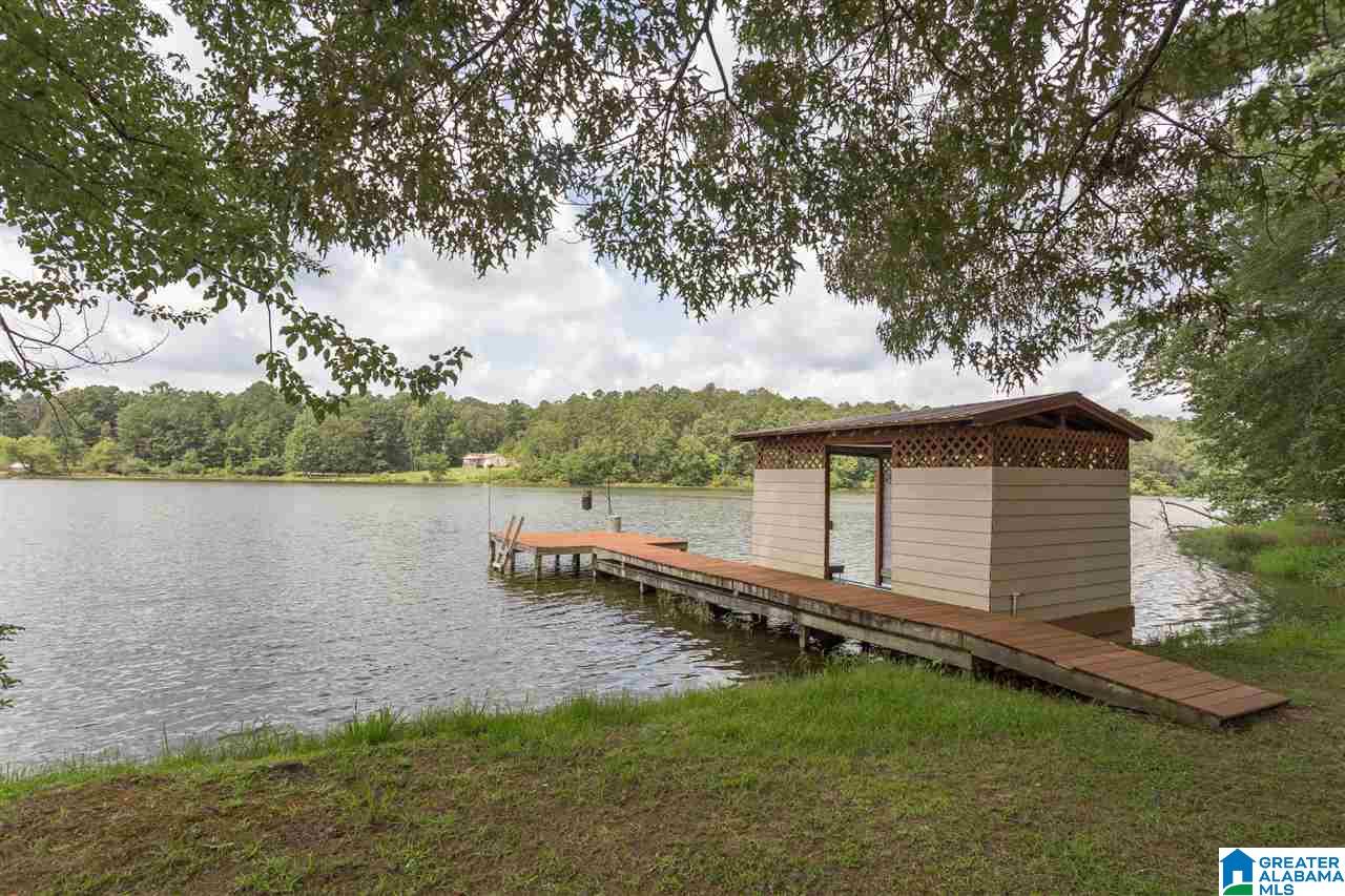 59 Lakeview Drive Oneonta, AL 35121 - Photo 43 of 49