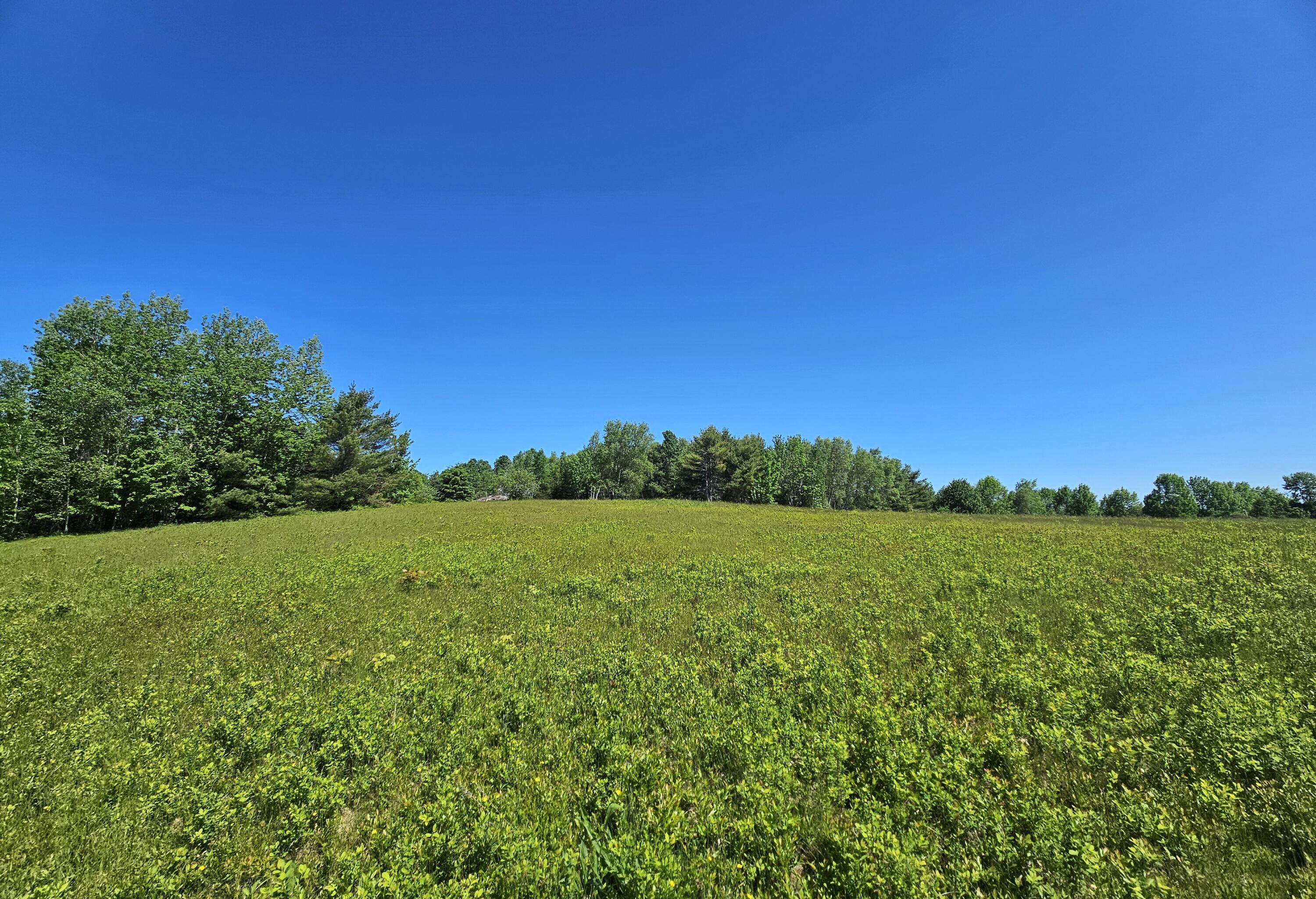 Lot 7-4 Happytown Road Orland, ME 04472 - Photo 5 of 26 Blueberry Field