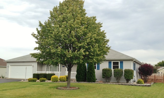 795 Amanda Road New Lenox, IL 60451 - Photo 2 of 24 a front view of a house with a garden and plants