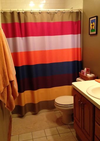 795 Amanda Road New Lenox, IL 60451 - Photo 12 of 24 a bathroom with a sink and a toilet