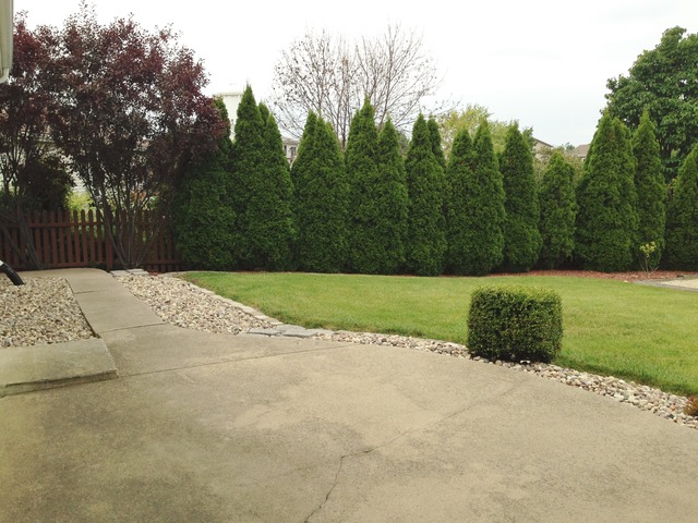 795 Amanda Road New Lenox, IL 60451 - Photo 23 of 24 a view of a field with a trees in the background