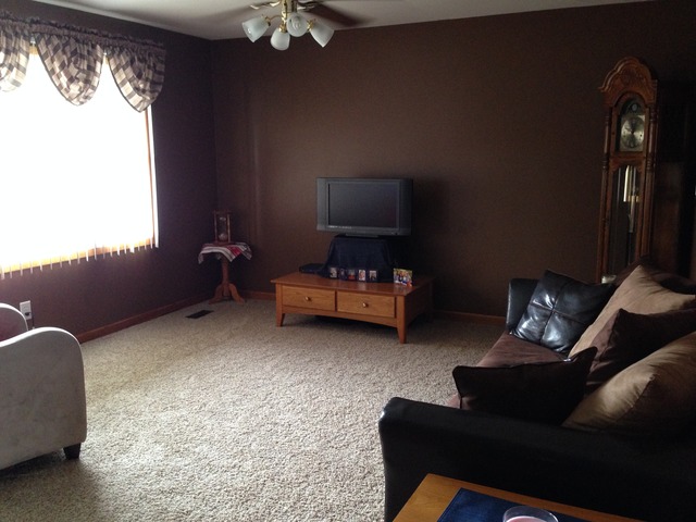 795 Amanda Road New Lenox, IL 60451 - Photo 4 of 24 a living room with furniture and a window