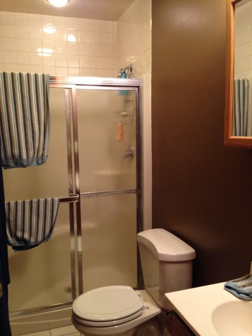 795 Amanda Road New Lenox, IL 60451 - Photo 9 of 24 a white toilet sitting next to a bathroom sink