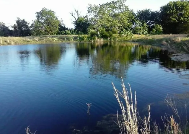 $499,000 | 661 Vzcr 4406, Ben Wheeler, TX 75754