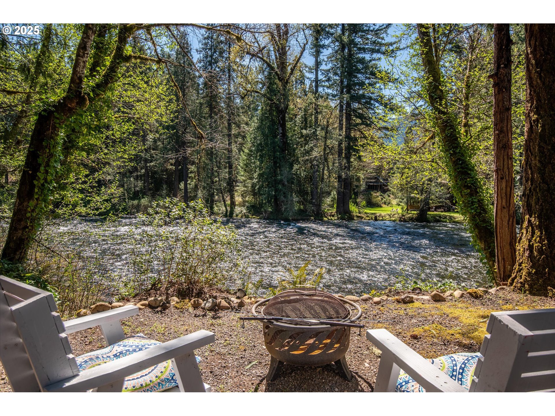 56502 North Bank Road Blue River, OR 97413 - Photo 2 of 38 Gallery Image 2