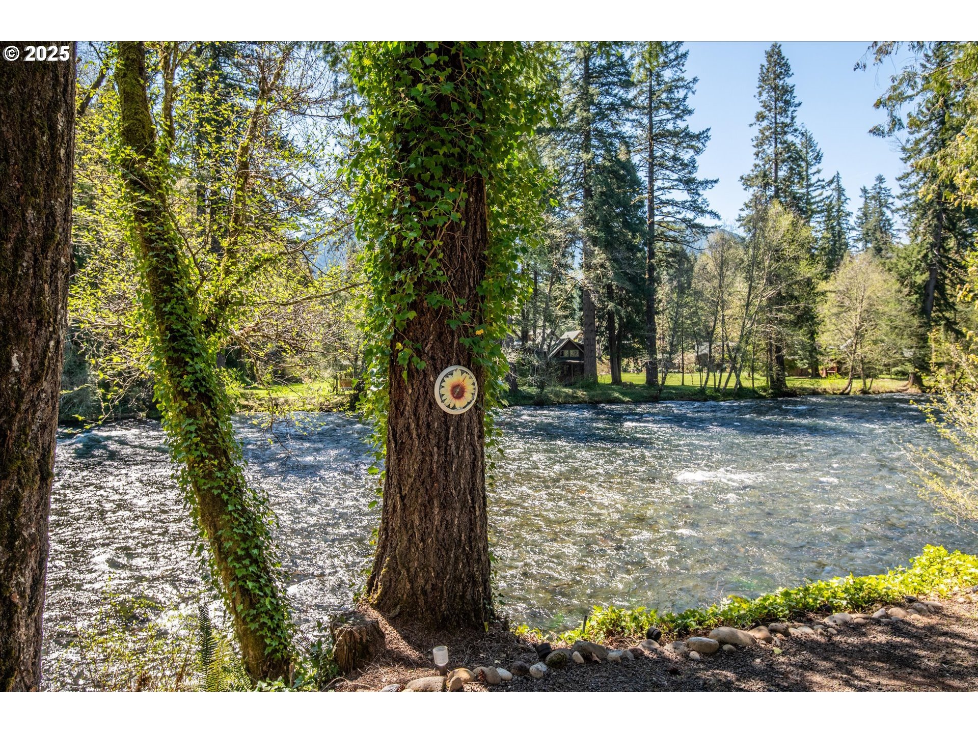 56502 North Bank Road Blue River, OR 97413 - Photo 28 of 38 Gallery Image 28