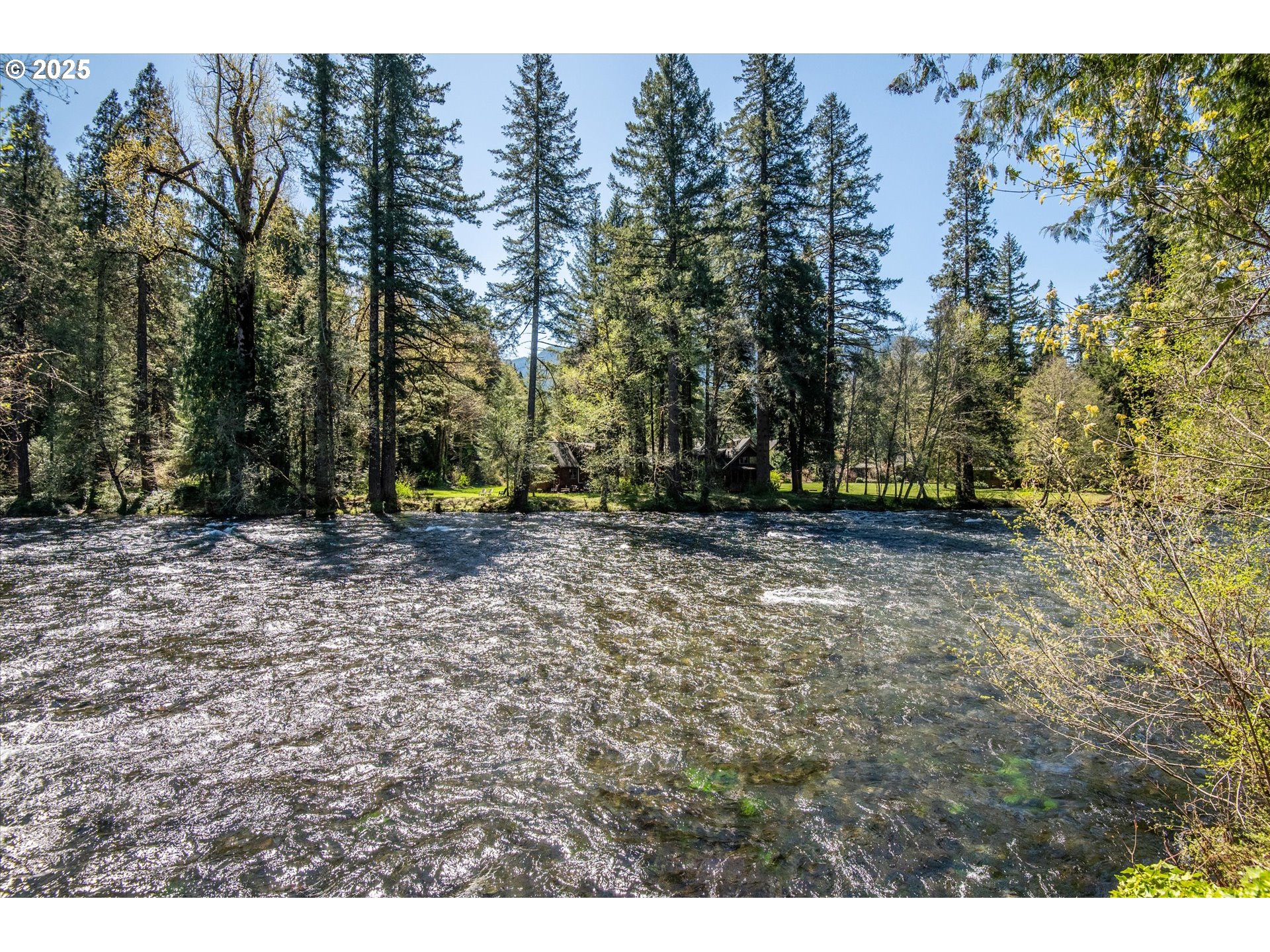 56502 North Bank Road Blue River, OR 97413 - Photo 3 of 38 Gallery Image 3