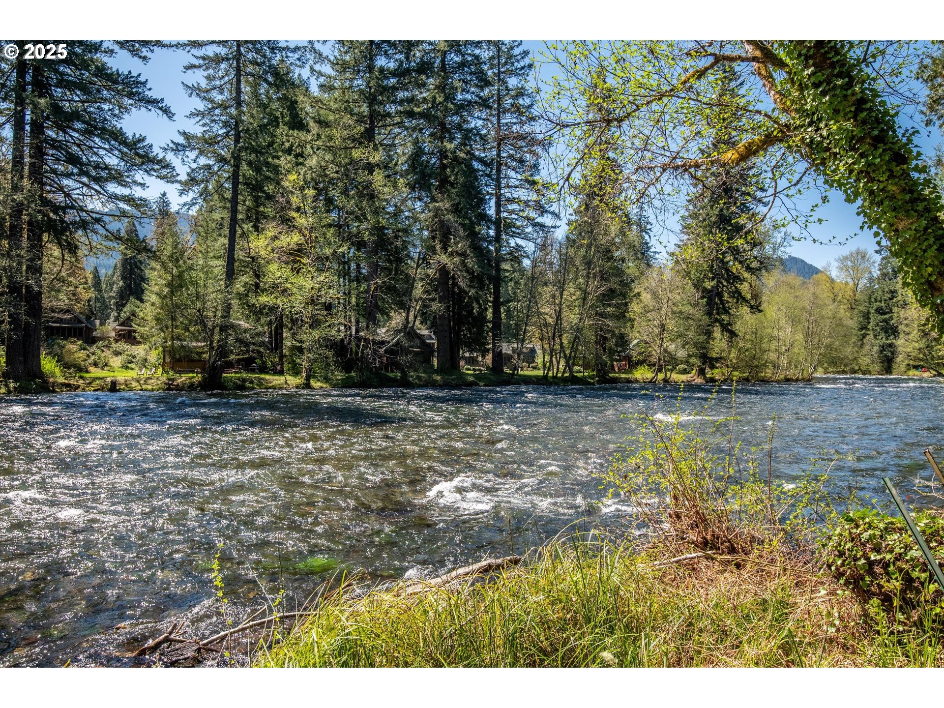 56502 North Bank Road Blue River, OR 97413 - Photo 31 of 38 Gallery Image 31