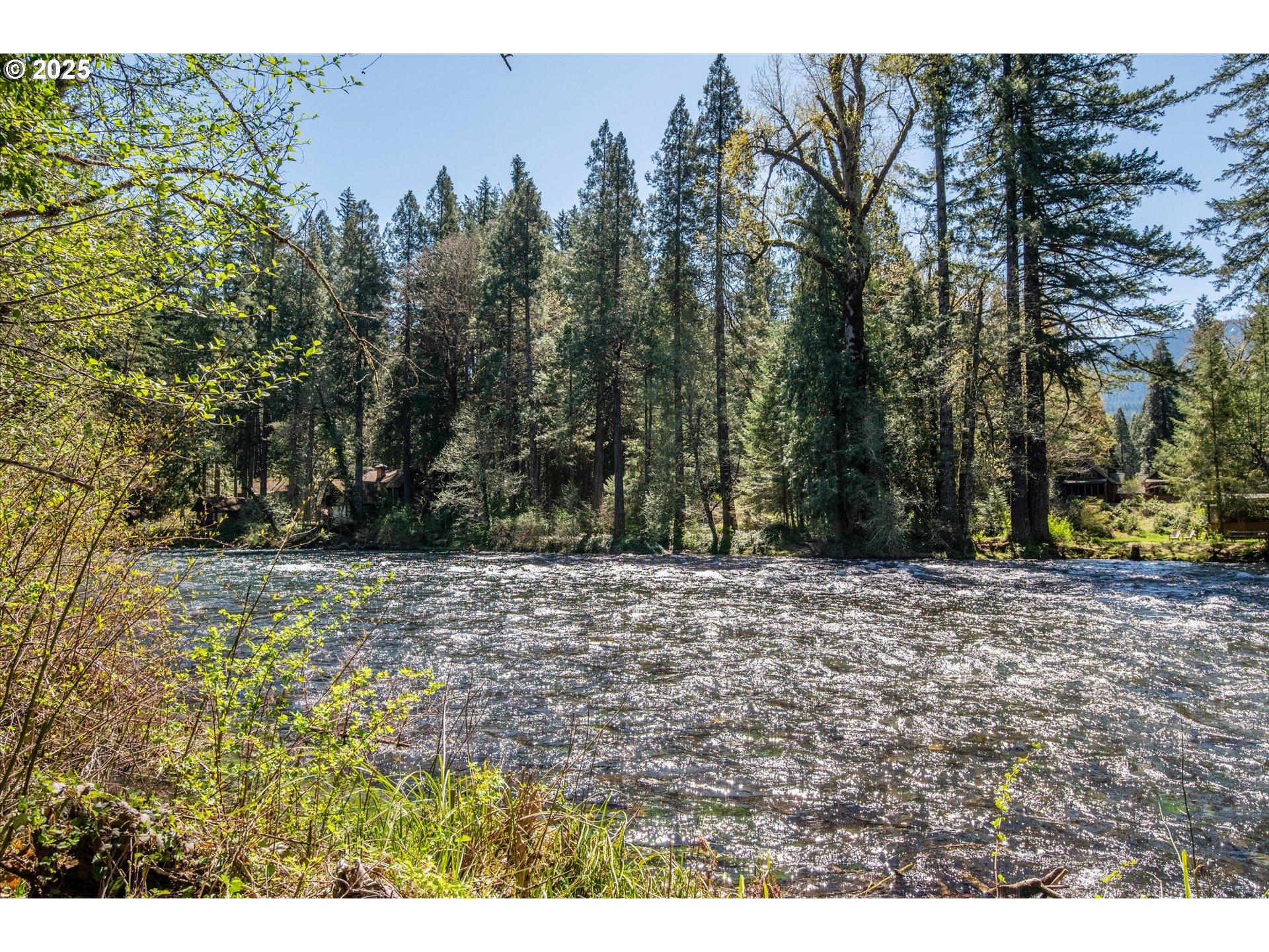 56502 North Bank Road Blue River, OR 97413 - Photo 33 of 38 Gallery Image 33