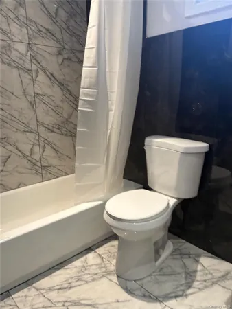 a bathroom with a toilet and a bathtub