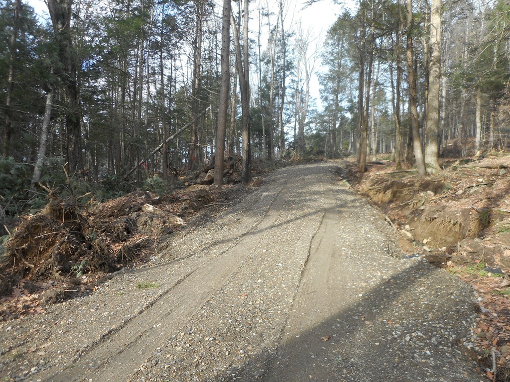 Lot C County Road Huntington, MA 01050 - Photo 2 of 8 Gallery Image 2