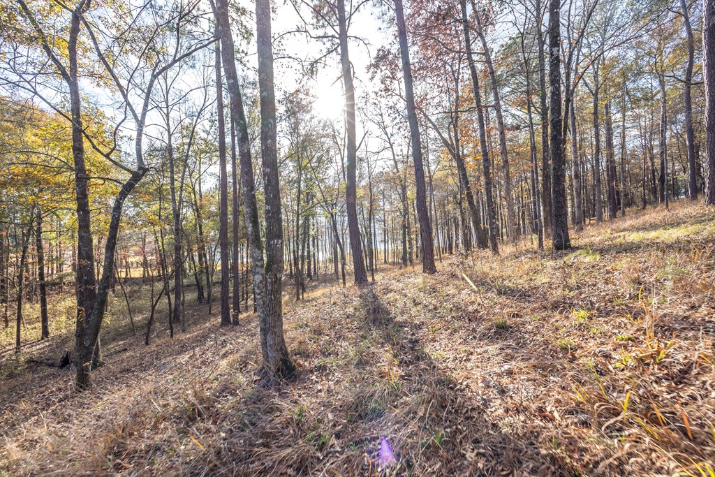 7600 Rolling Bend Road Columbus, GA 31904 - Photo 8 of 15