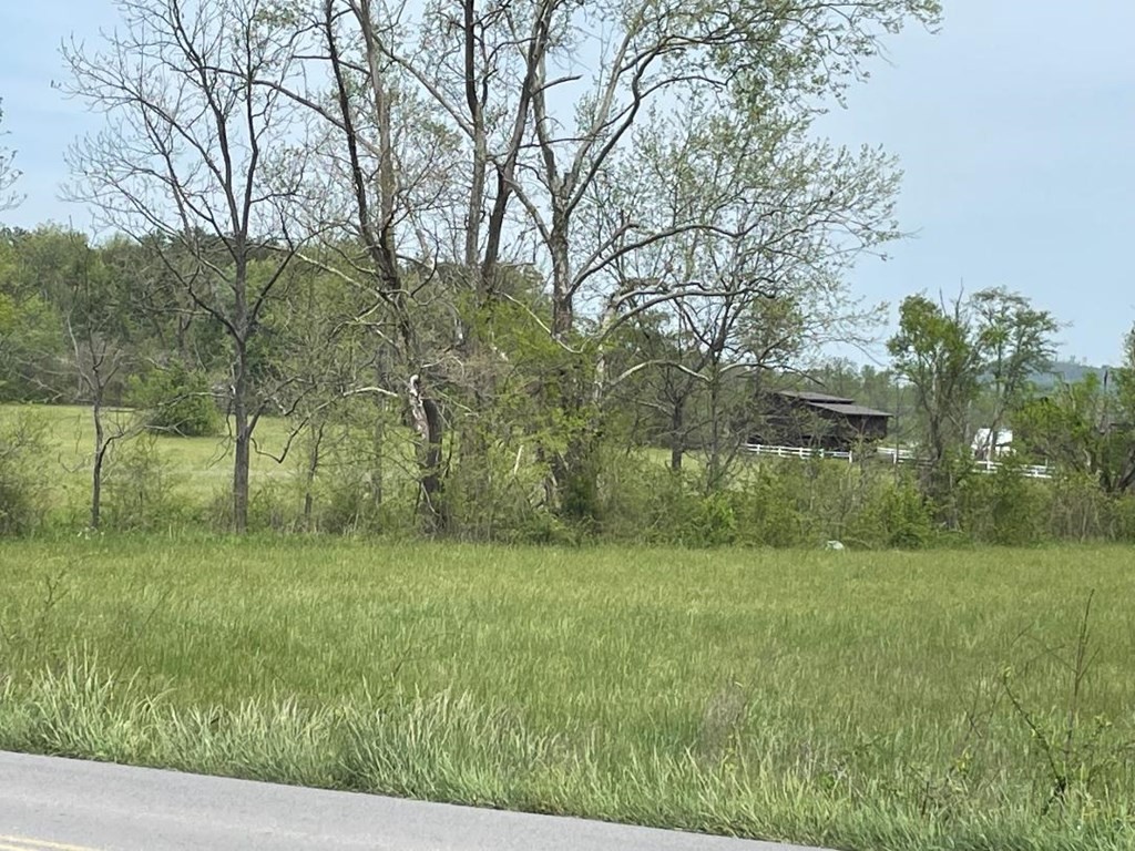 0 Line Springs Road Sevierville, TN 37862 - Photo 3 of 8