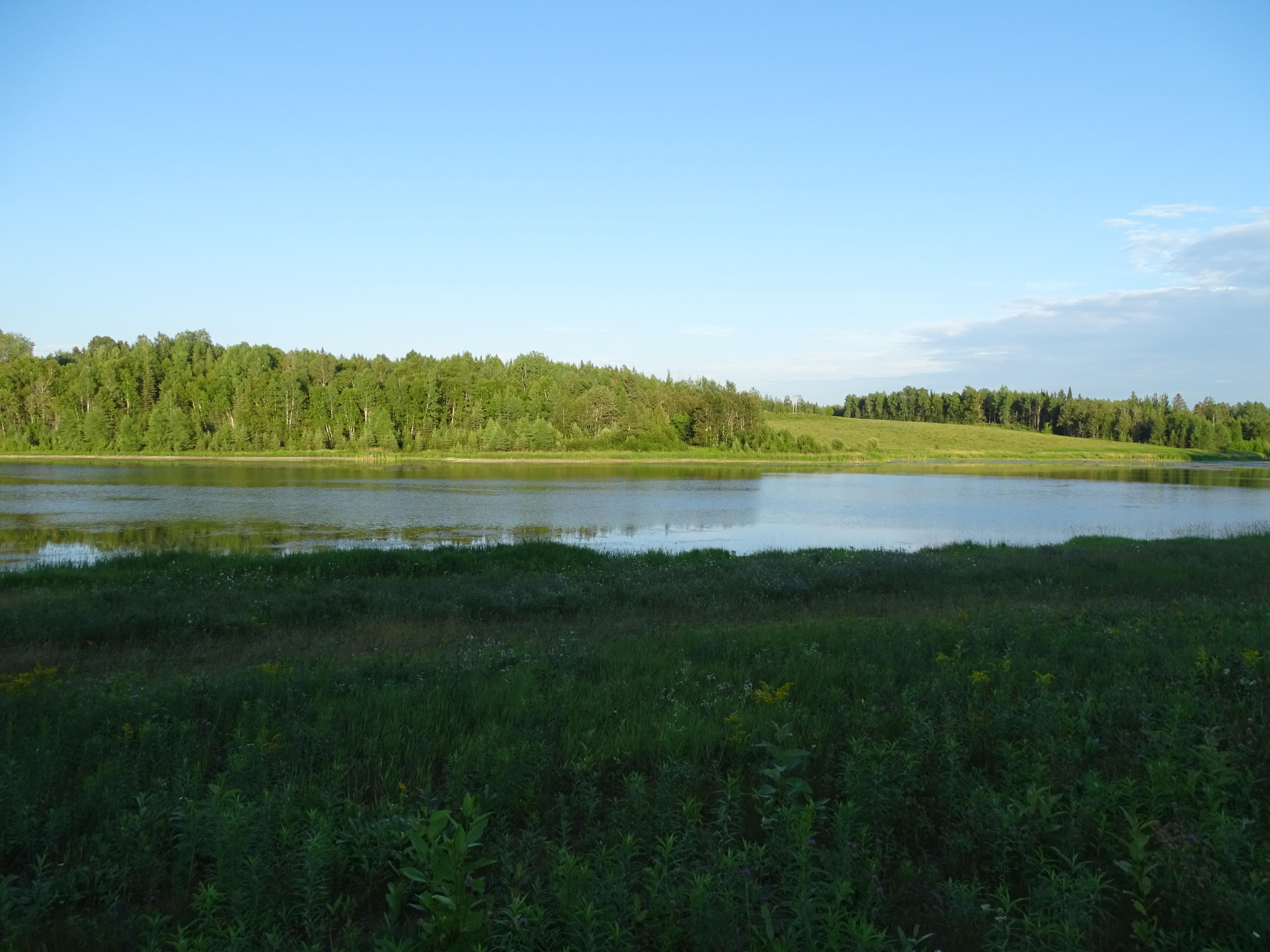 DSC01500
