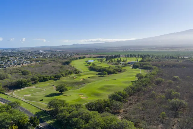 a view of a big yard with lots of green space