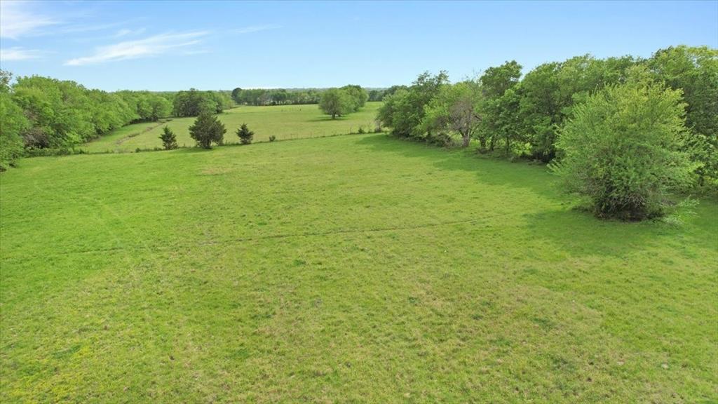 99 East Line Road Whitewright, TX 75491 - Photo 3 of 10 a view of a big yard with large trees