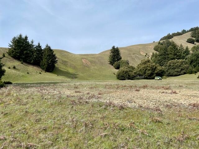 4001 Conklin Creek Road Ferndale, CA 95536 - Photo 25 of 125