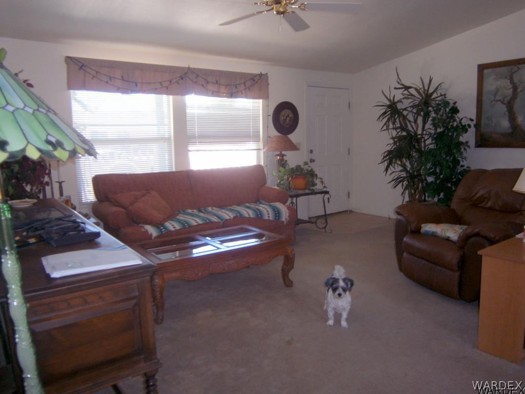 13411 South Water Reed Way, Unit 3 Topock, AZ 86436 - Photo 3 of 16 a living room with furniture and a potted plant