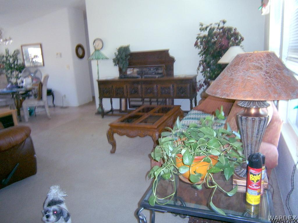 13411 South Water Reed Way, Unit 3 Topock, AZ 86436 - Photo 4 of 16 a living room with furniture and a potted plant