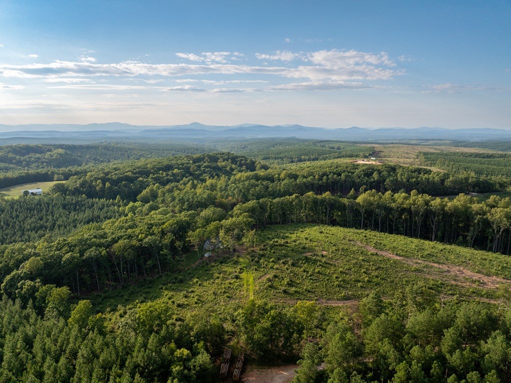 Meadow Creek Road, Unit A&B Wingina, VA 24599 - Photo 11 of 23 Gallery Image 11