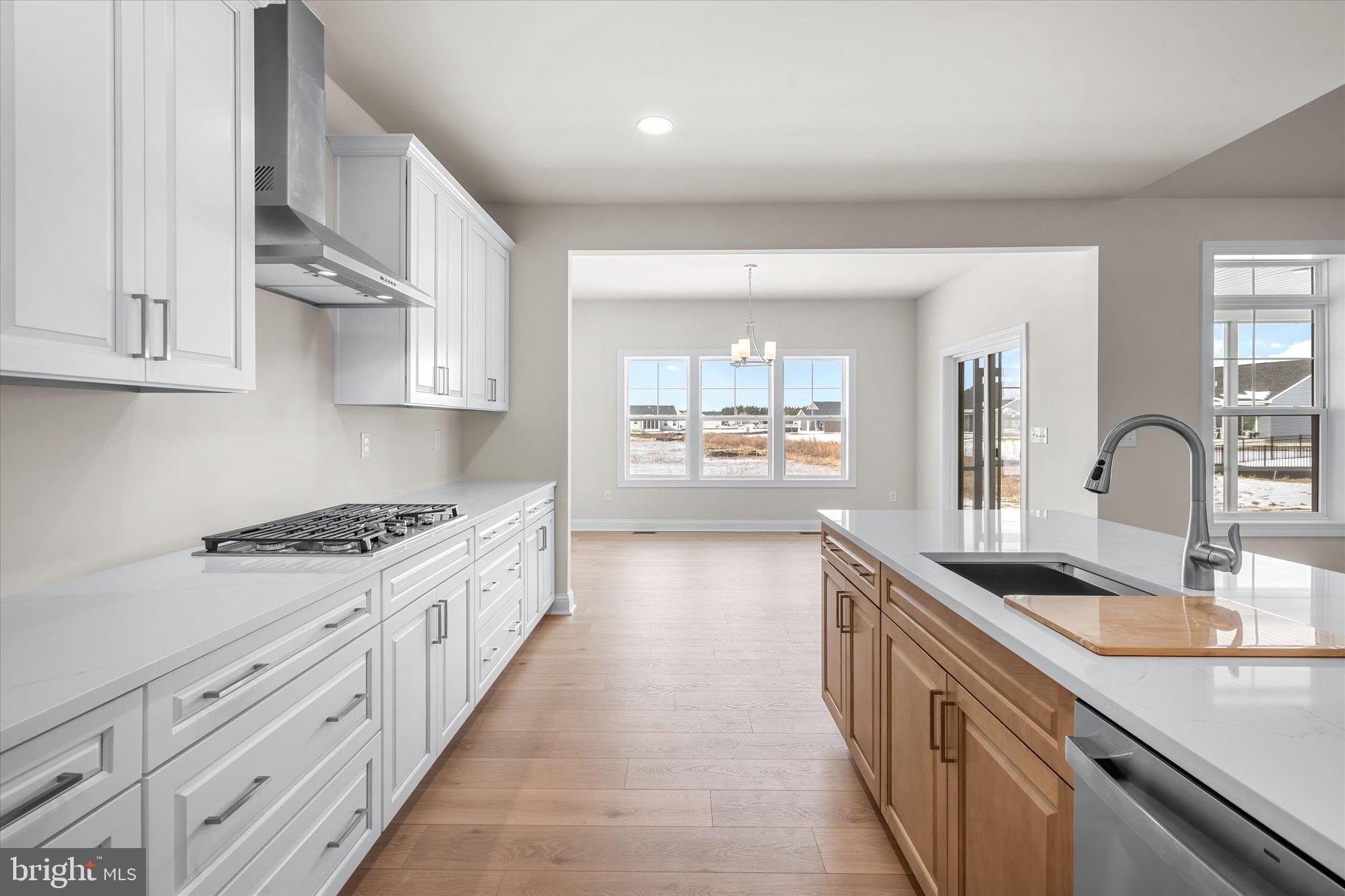 Lot#24 Hummingbird Road Ellendale, DE 19941 - Photo 25 of 27 Pictures are of a different Juliet with options.