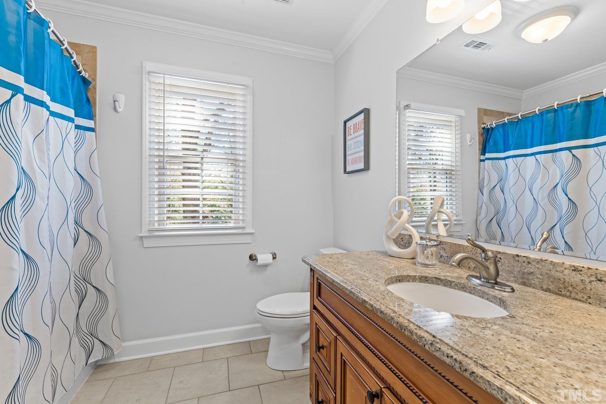 8325 Apple Orchard Way Raleigh, NC 27615 - Photo 25 of 54 a bathroom with a granite countertop sink a toilet and a shower