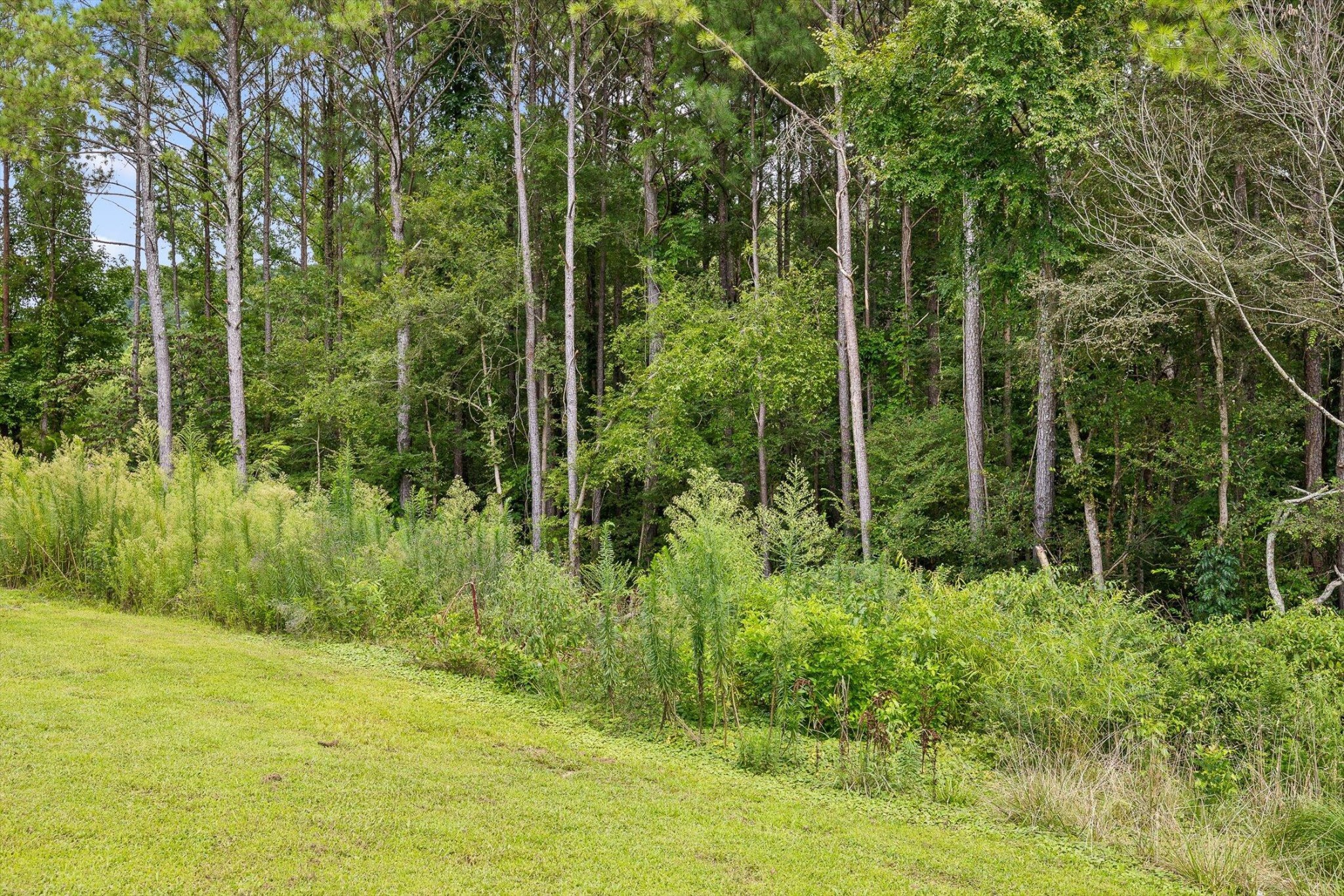 430432 Old Federal Road South Chatsworth, GA 30705 - Photo 31 of 38 Gallery Image 31