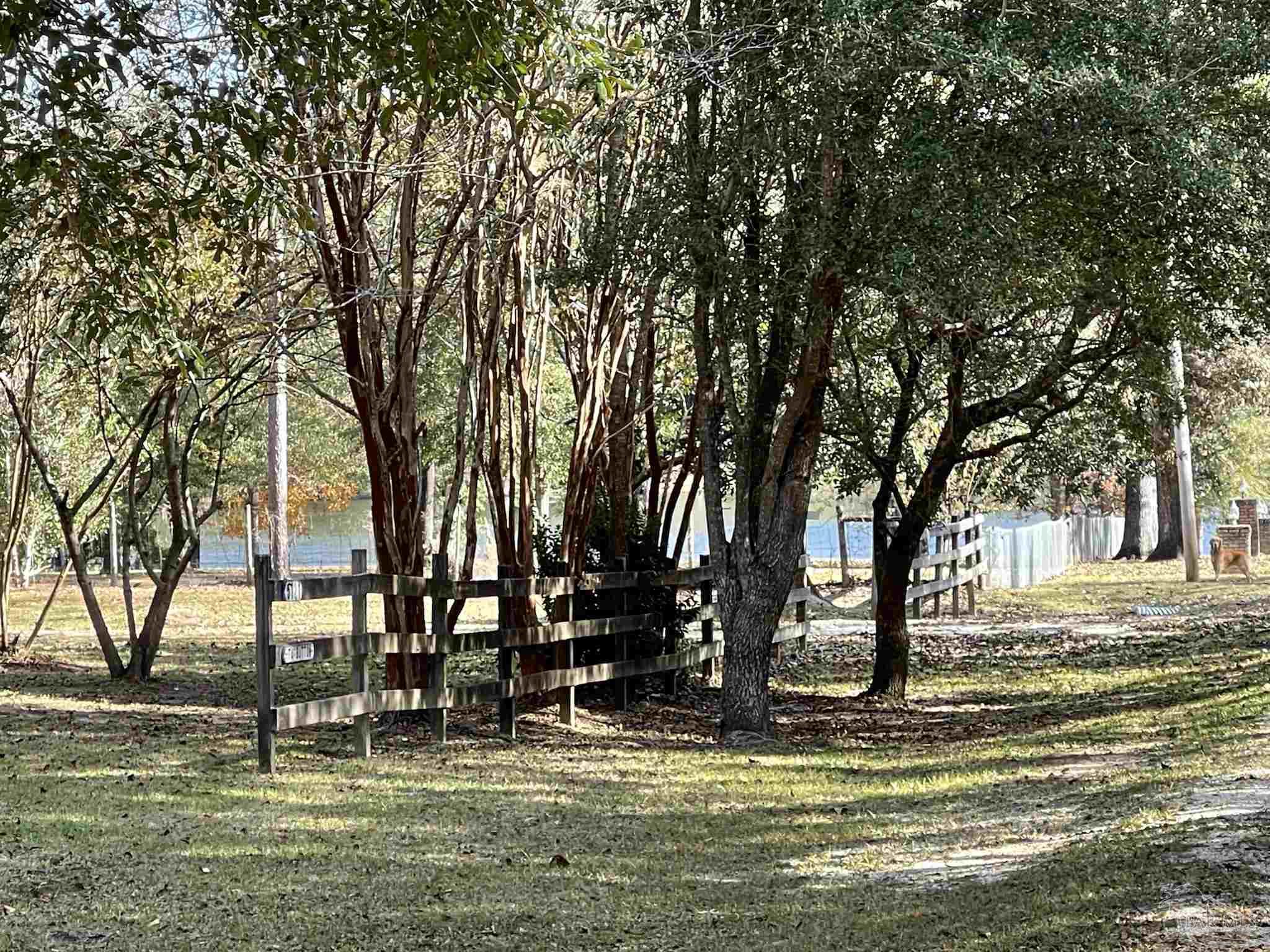 5121 Wiggins Lake Road Walnut Hill, FL 32568 - Photo 3 of 50 Gallery Image 3