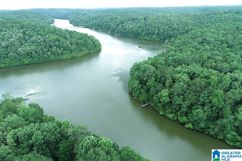 143 County Road 2010 Delta, AL 36258 - Photo 31 of 32