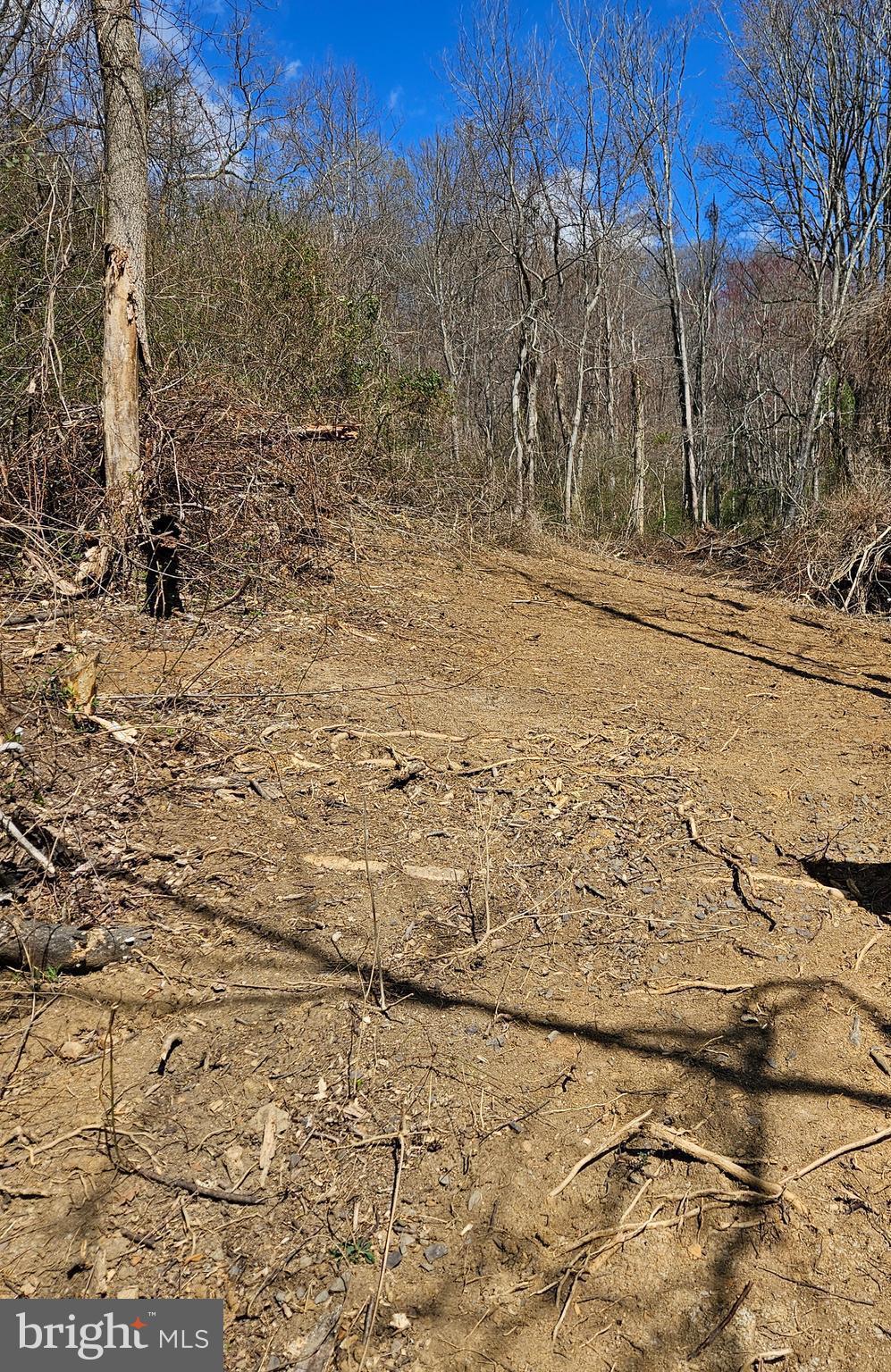 0 Moon Road Sperryville, VA 22740 - Photo 1 of 5 a view of pathway covered with snow