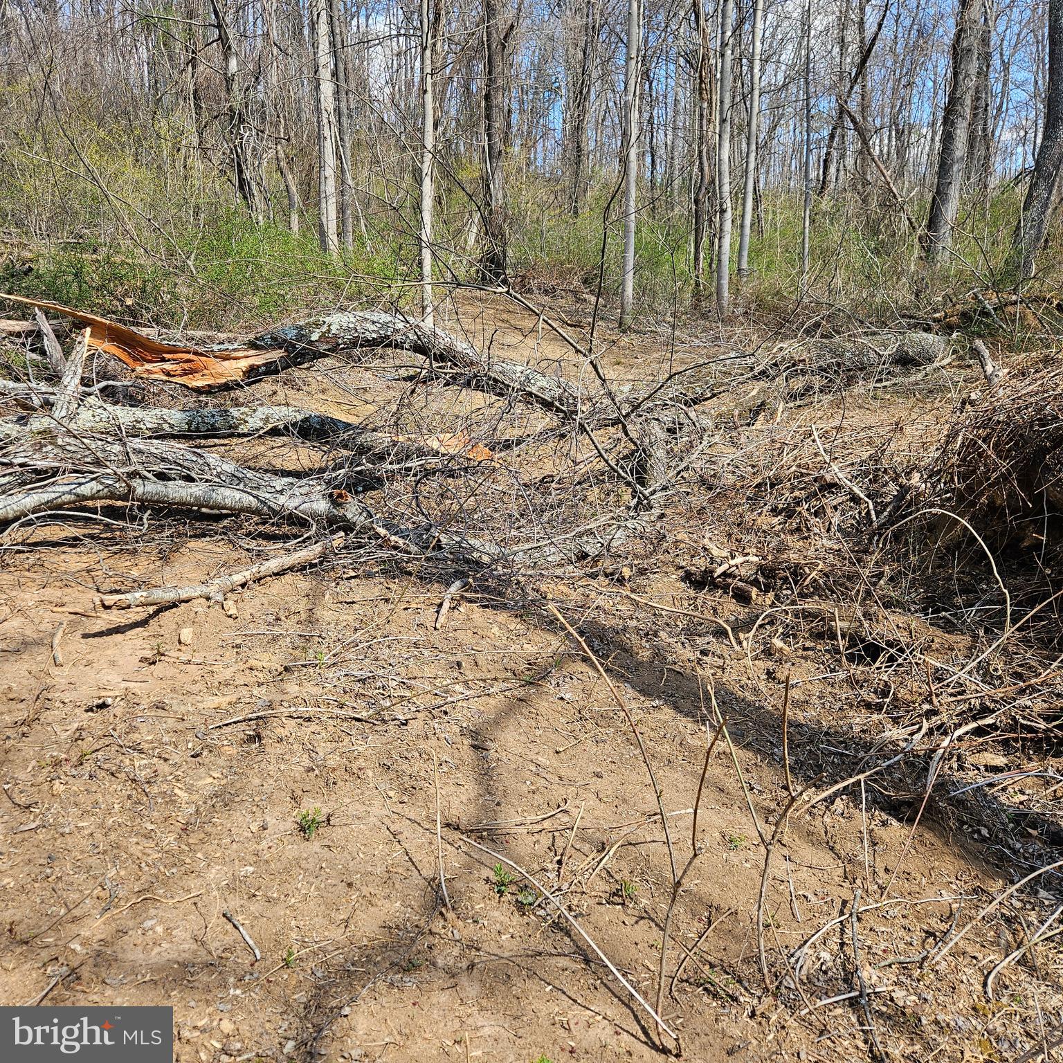 0 Moon Road Sperryville, VA 22740 - Photo 2 of 5 a view of backyard of house