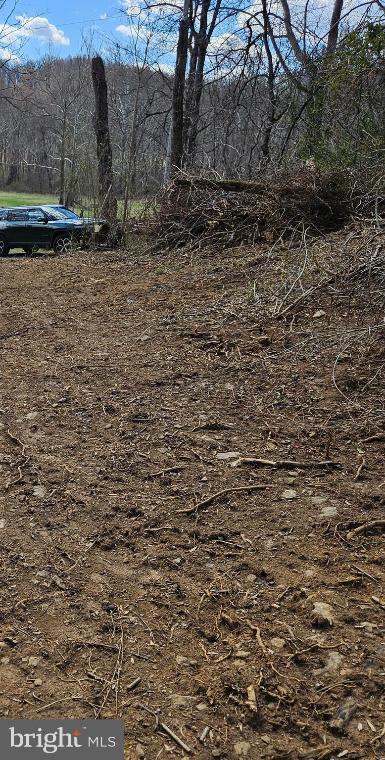 0 Moon Road Sperryville, VA 22740 - Photo 4 of 5 a view of outdoor space and a yard