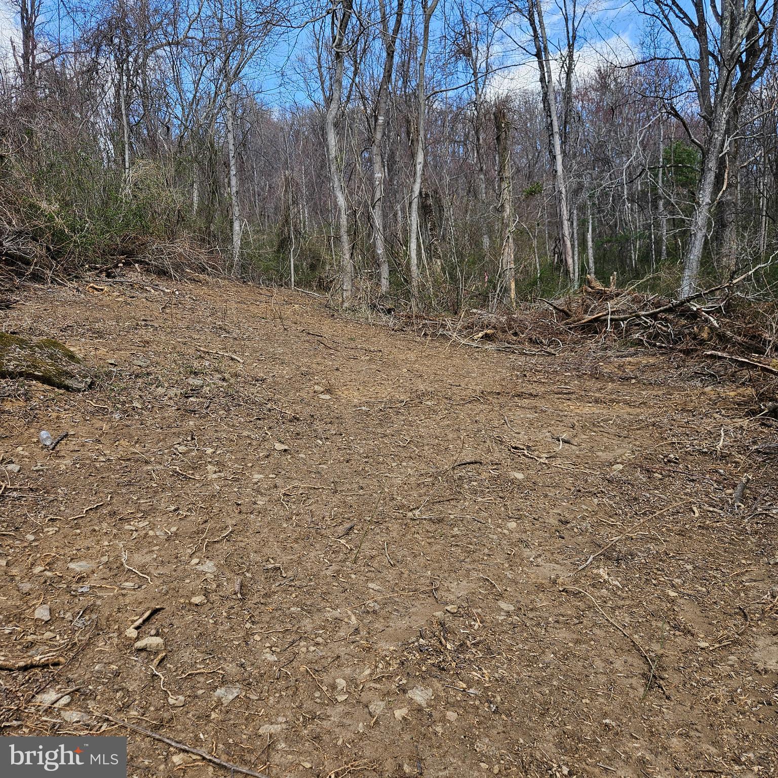 0 Moon Road Sperryville, VA 22740 - Photo 5 of 5 a view of outdoor space with trees