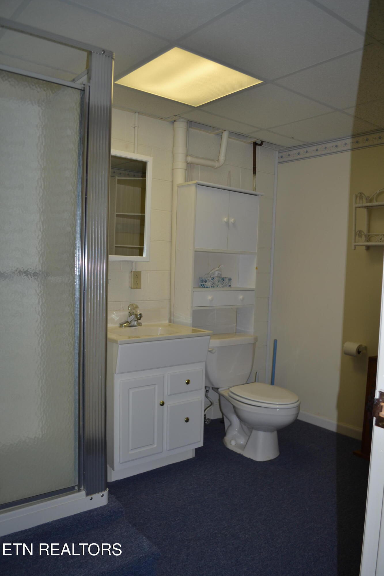 360 Sharp Acres Road Jacksboro, TN 37757 - Photo 27 of 37 Downstairs Bathroom with shower