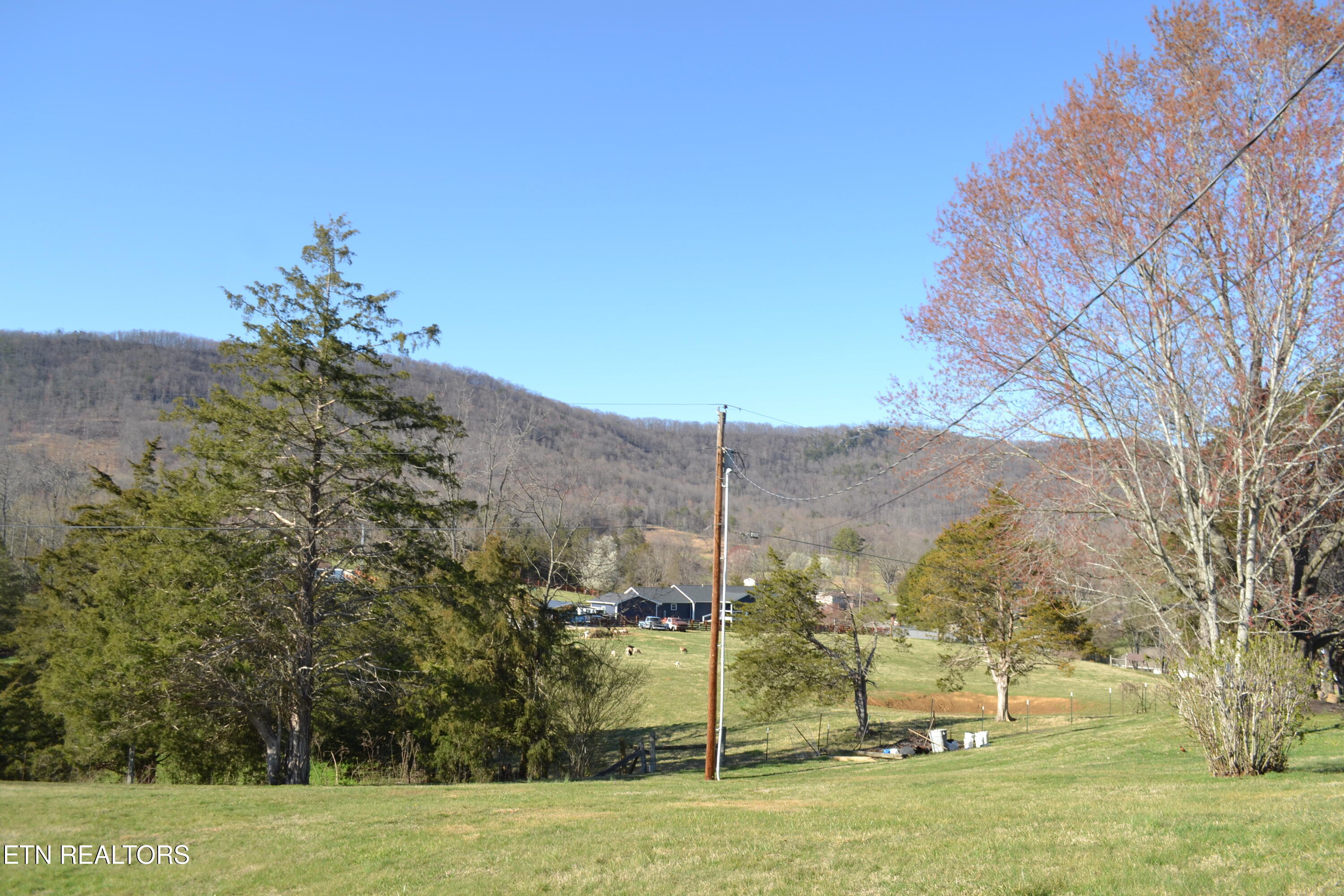 360 Sharp Acres Road Jacksboro, TN 37757 - Photo 32 of 37 Check the views out