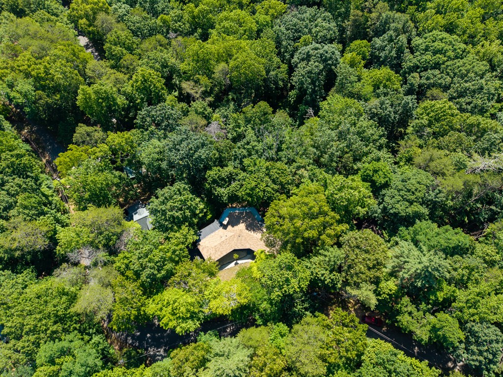 775 Mountain Oak Road Ellijay, GA 30536 - Photo 63 of 106