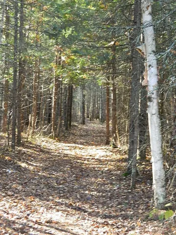 $250,000 | 9372 County Road 32 West, Loman, MN 56654