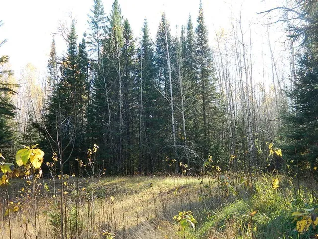 $250,000 | 9372 County Road 32 West, Loman, MN 56654