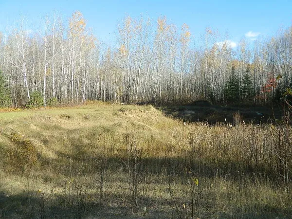 $250,000 | 9372 County Road 32 West, Loman, MN 56654