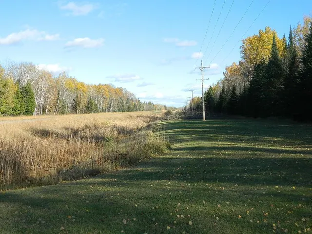 $250,000 | 9372 County Road 32 West, Loman, MN 56654