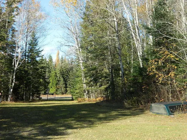 $250,000 | 9372 County Road 32 West, Loman, MN 56654