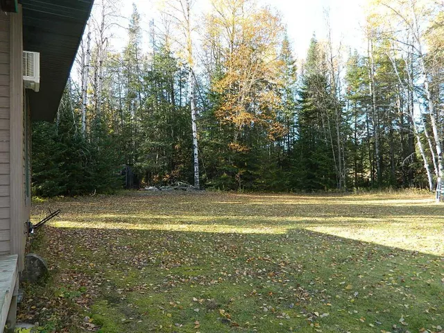 $250,000 | 9372 County Road 32 West, Loman, MN 56654