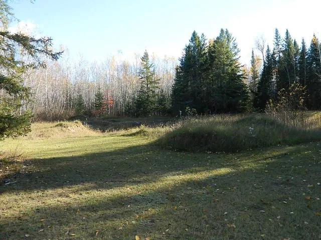 $250,000 | 9372 County Road 32 West, Loman, MN 56654