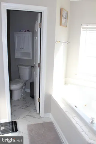 a bathroom with a toilet and a bathtub