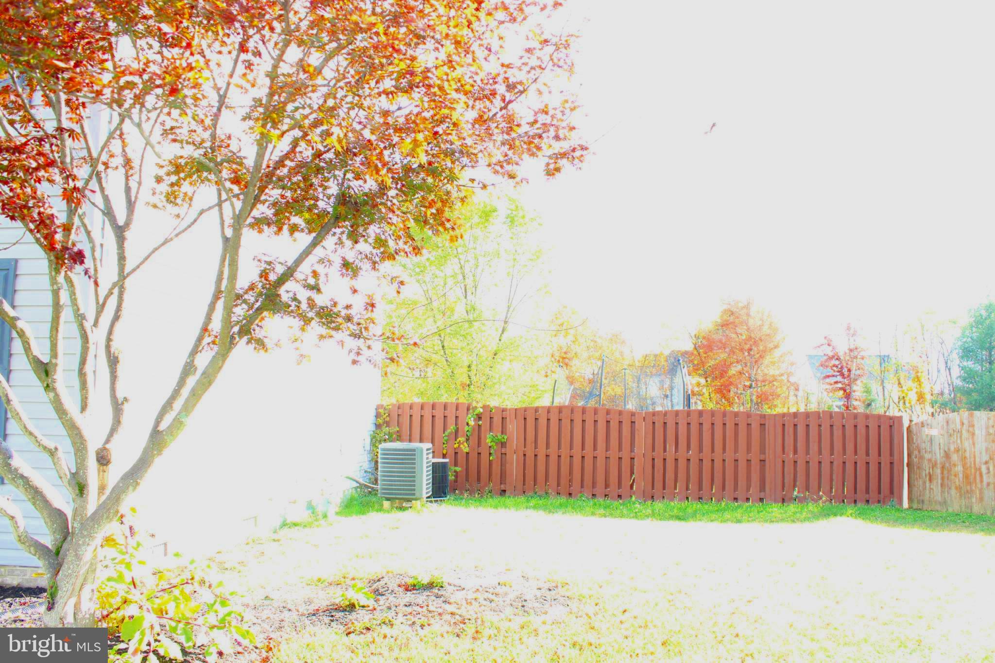 107 Fancy Court Stephens City, VA 22655 - Photo 35 of 36 a view of a yard with a large trees