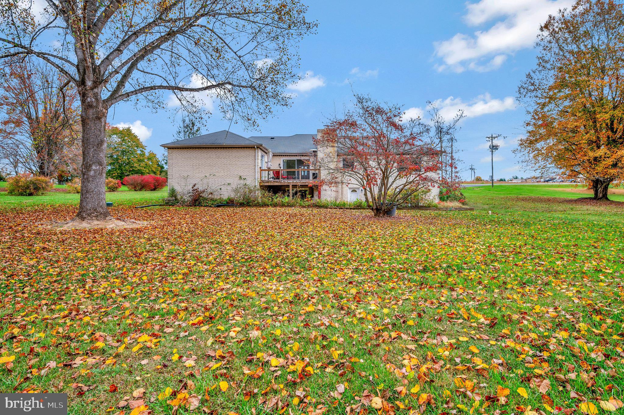 32480 Zoar Road Locust Grove, VA 22508 - Photo 35 of 37 Plenty of room for pets and kids to play.