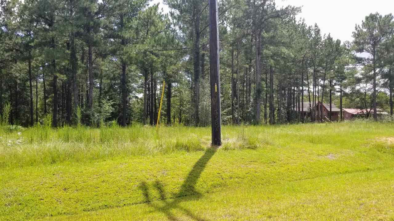 3 Harbor Road Andalusia, AL 36421 - Photo 4 of 4 Gallery Image 4