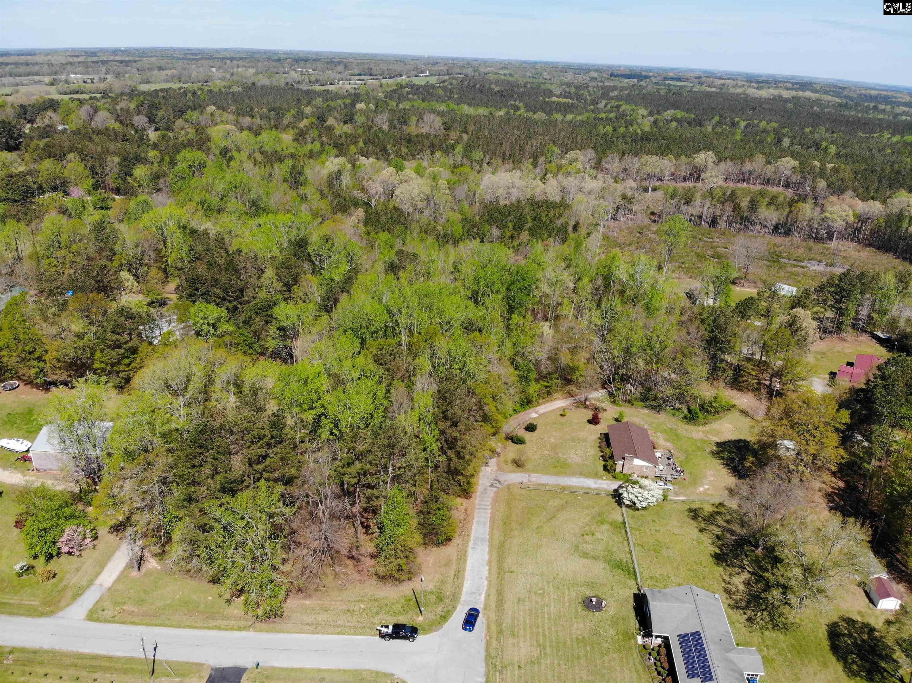 Tbd James Road Joanna, SC 29351 - Photo 40 of 82