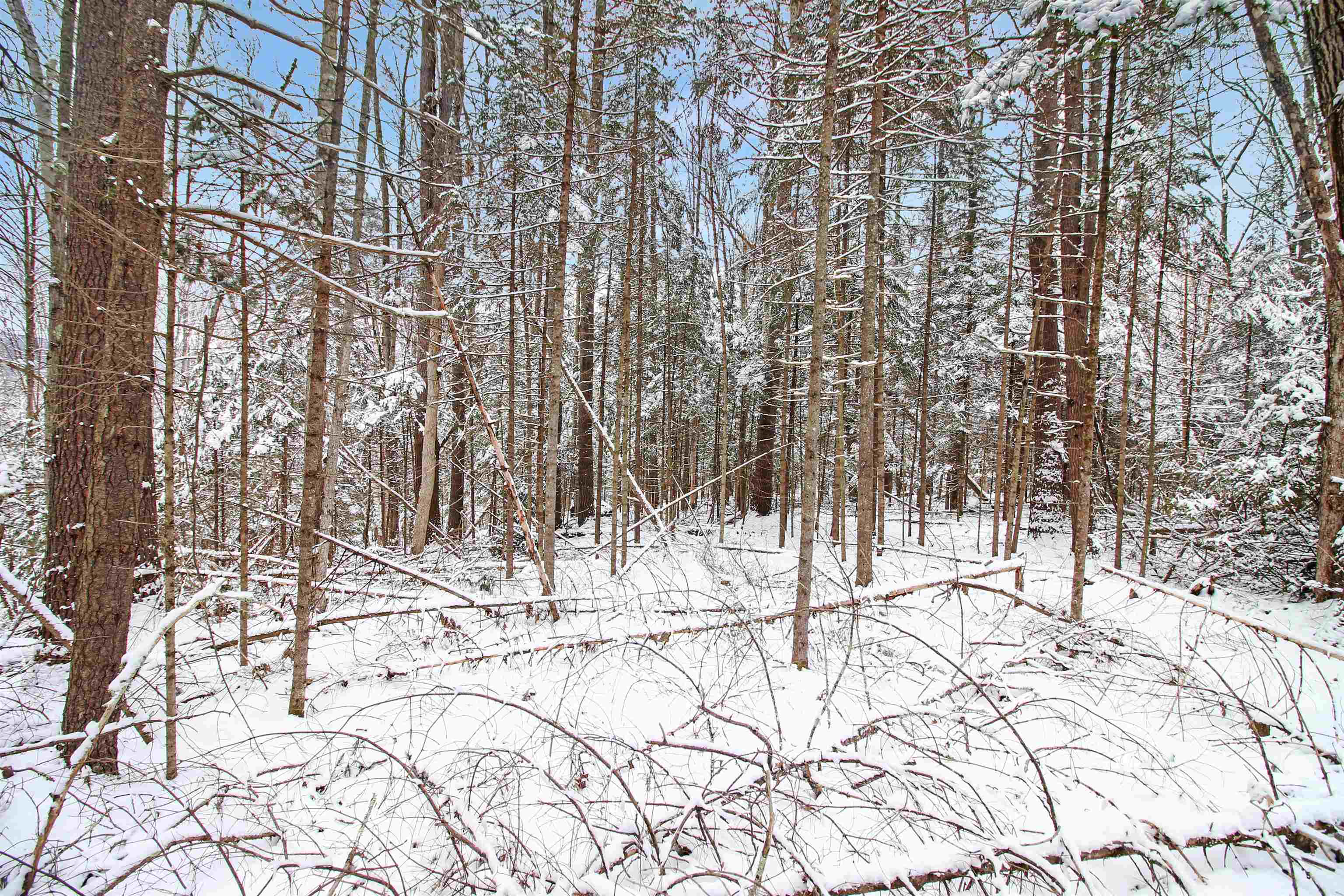 204-269 King Drive Woodsville, NH 03785 - Photo 1 of 12