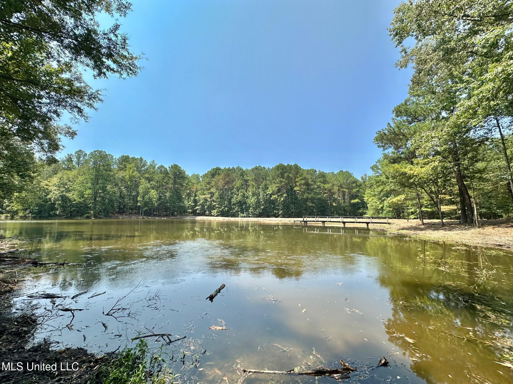 3 Champion Hill Road Bolton, MS 39041 - Photo 11 of 48 10